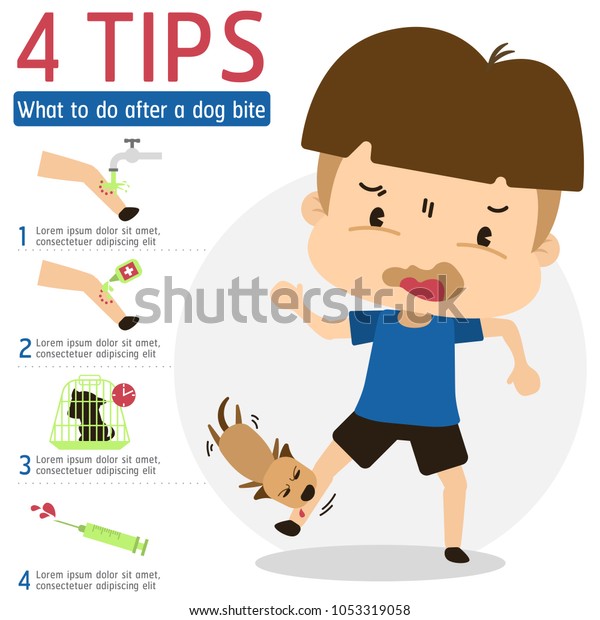 1,217 Dog Bite Treatment Images, Stock Photos & Vectors | Shutterstock