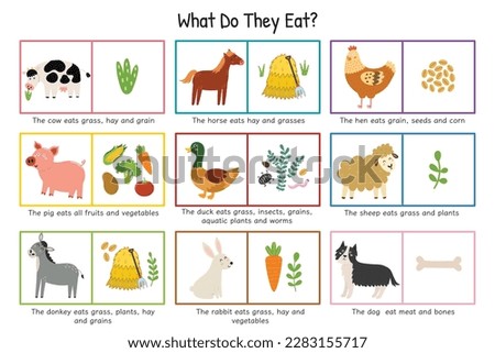What Do They Eat educational poster for kids. Animals and food they eat set with cow, pig, sheep, horse, etc. Learning print for school and preschool. Vector illustration