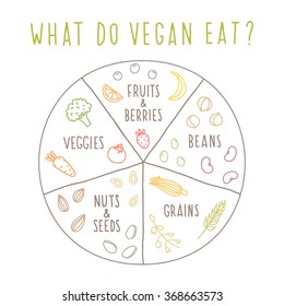 What do vegan eat info graphic. Vector hand drawn illustration