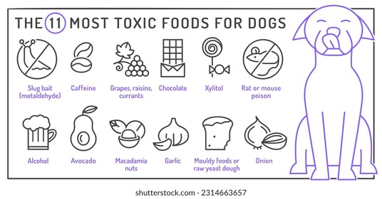 What food is poisonous to dogs. Alcohol, nuts, onions, raw yeast dough, rat and slug bait, xylitol. Veterinarian advice. Veterinary infographics. Vector illustration in outline style. Landscape poster