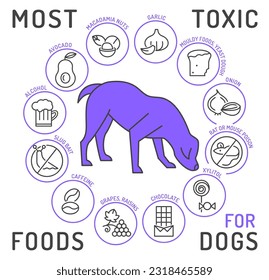 What food is poisonous to dogs. Alcohol, nuts, onions, raw yeast dough, rat, slug bait, xylitol. Veterinarian advice. Veterinary infographics. Vector illustration in outline style on white background