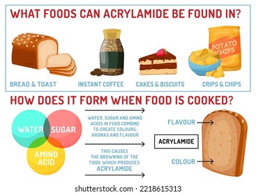 What foods can acrylamide be found in. How does it form when food is cooked. Vector infographic. Editable illustration in cartoon style isolated on a white background. Landscape healthcare poster