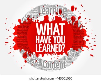 What Have You Learned? circle word cloud, business concept