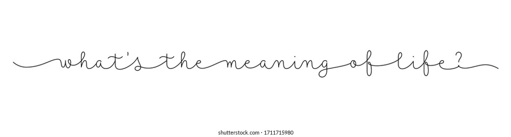 WHAT'S THE MEANING OF LIFE? black vector monoline calligraphy banner