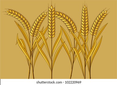 Wheat