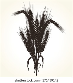 wheat