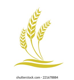 wheat