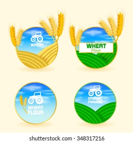 Wheat
