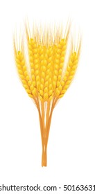 of wheat