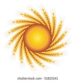 wheat