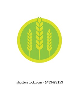 Wheat agriculture and farming vector logo design