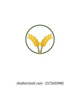 Wheat Agriculture logo. vector illustration symbol design.