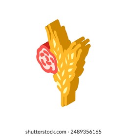 wheat allergen free product food isometric icon vector. wheat allergen free product food sign. isolated symbol illustration