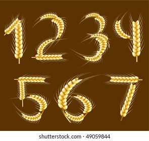 Wheat alphabet. Digits. Vector. Part 7