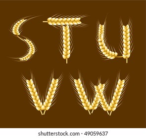 Wheat alphabet. Vector. Part 4