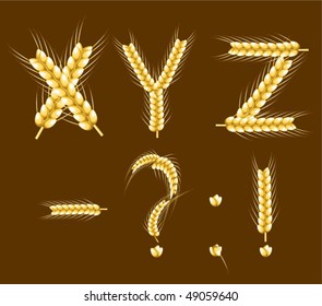 Wheat alphabet. Vector. Part 5