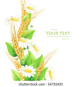 Wheat is among the daisies and leaves.