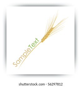 Wheat background