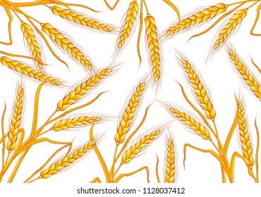 wheat background color white many. vector illustration