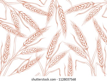 wheat background color white many. vector illustration