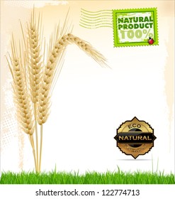 Wheat background natural product