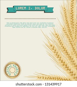 Wheat background natural product