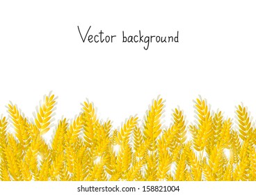Wheat background with place for text