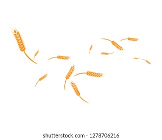 wheat Background Template vector icon design
