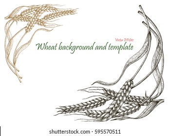 Wheat background and template vintage style