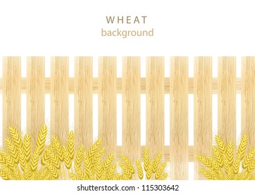 Wheat background with wooden fence