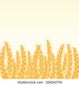 Wheat Banner or  Post Card with Place for Text