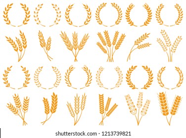 Wheat or barley ears. Harvest wheat grain, growth rice stalk and whole bread grains or field cereal nutritious rye grained agriculture products ear symbol. Isolated vector icons set