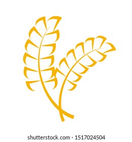Wheat or barley ears. Harvest wheat grain, growth rice stalk and whole bread grains or field cereal nutritious rye grained agriculture products ear symbol. Isolated vector icon