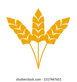Wheat or barley ears. Harvest wheat grain, growth rice stalk and whole bread grains or field cereal nutritious rye grained agriculture products ear symbol. Isolated vector icon