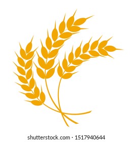 Wheat Or Barley Ears. Harvest Wheat Grain, Growth Rice Stalk And Whole Bread Grains Or Field Cereal Nutritious Rye Grained Agriculture Products Ear Symbol. Isolated Vector Icon