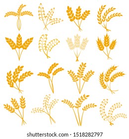 Wheat or barley ears. Harvest wheat grain, growth rice stalk and whole bread grains or field cereal nutritious rye grained agriculture products ear symbol. Isolated vector icons set