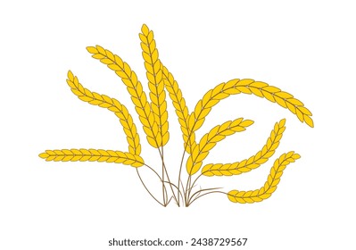 Wheat or barley ears. Rice panicles. Growth rice stalk. Vector illustration