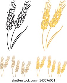 Wheat barley ears vector illustration