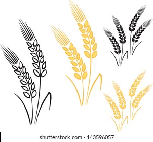Wheat barley ears vector illustration