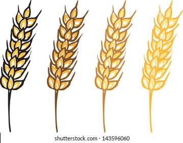 Wheat barley ears vector illustration