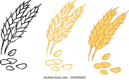 Wheat barley ears vector illustration
