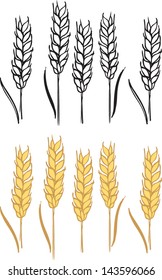 Wheat barley ears vector illustration