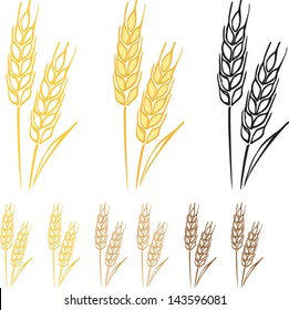Wheat barley ears vector illustration