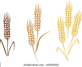 Wheat barley ears vector illustration