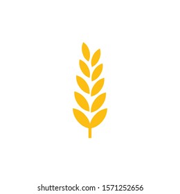 Wheat and barley ears vector illustration