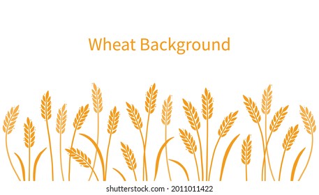 Wheat, barley, field background for oat, cereal. Hand drawn sketch style oat with grain. Wheat vector illustration background. Golden color barley.