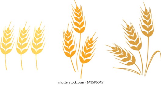 wheat & barley icon