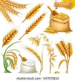 Wheat, barley, oat and rice. Cereals 3d icon vector set