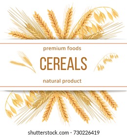 Wheat, barley, oat and rye. 3d icon vector set. Four cereals grains and ears with text premium foods, natural product. Horizontal label. seeds and plants. For cooking, bakery, tags, labels, textile