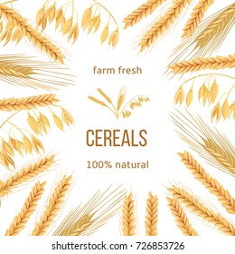 Wheat, barley, oat and rye. icon vector card. Four cereals. grains and ears. Ornament with text 100 percent natural. seeds and spikes. For bakery, tags, textile, decoration, food design, banner, label